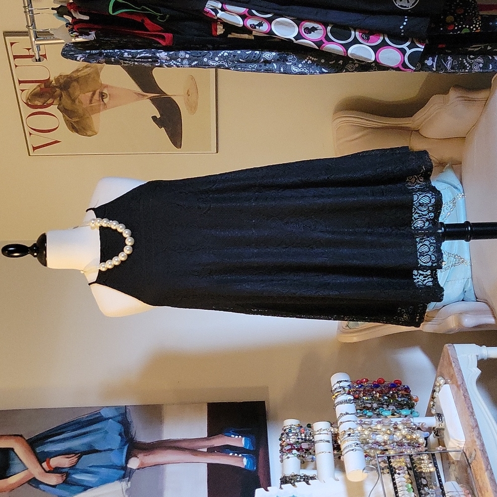 EUC Wild Daisy L  Black Lace Dress